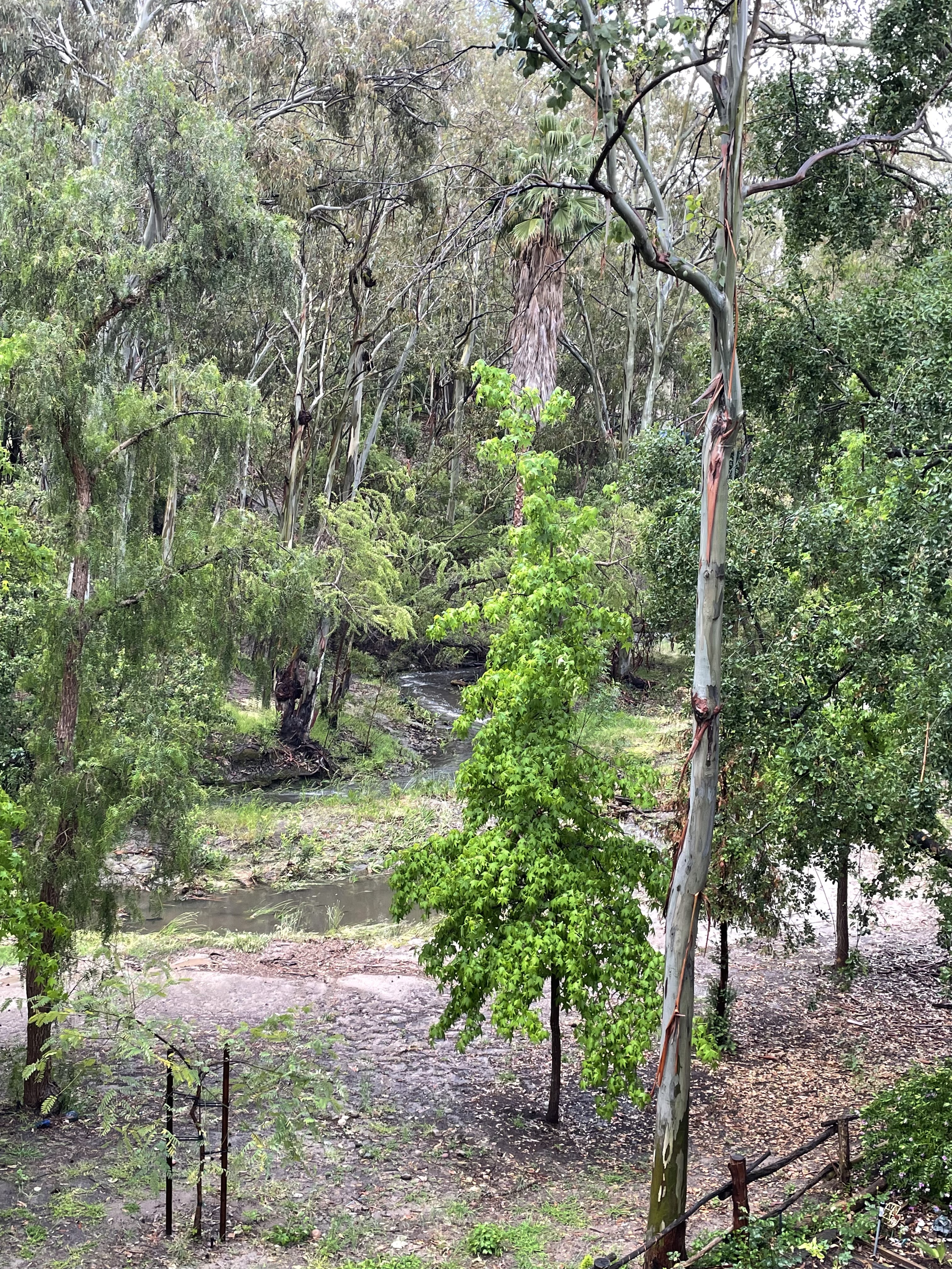 20250728-161007281-bd4d-e183dfa2c334_IMG_3705 _1_.jpg